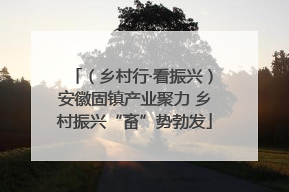 （乡村行·看振兴）安徽固镇产业聚力 乡村振兴“畜”势勃发