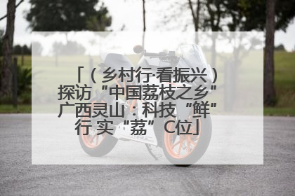 （乡村行·看振兴）探访“中国荔枝之乡”广西灵山：科技“鲜”行 实“荔”C位