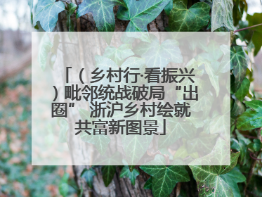 （乡村行·看振兴）毗邻统战破局“出圈” 浙沪乡村绘就共富新图景