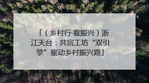 （乡村行·看振兴）浙江天台：共富工坊“双引擎”驱动乡村振兴路