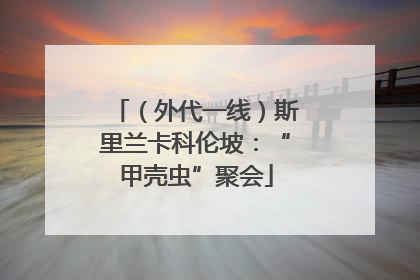 （外代一线）斯里兰卡科伦坡：“甲壳虫”聚会