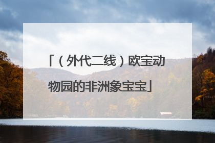 （外代二线）欧宝动物园的非洲象宝宝