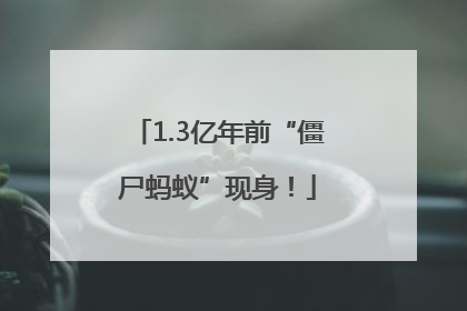 1.3亿年前“僵尸蚂蚁”现身！