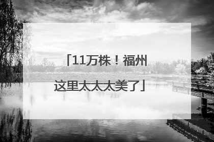 11万株！福州这里太太太美了