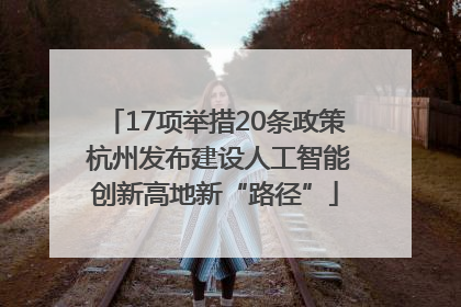 17项举措20条政策 杭州发布建设人工智能创新高地新“路径”
