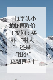 1字头小龙虾再降价！提问：买虾 “钳大” 还是 “钳小” 更划算？