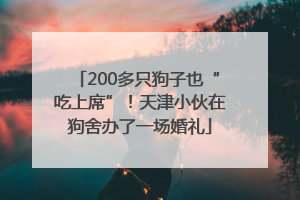 200多只狗子也“吃上席”！天津小伙在狗舍办了一场婚礼