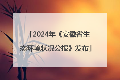 2024年《安徽省生态环境状况公报》发布