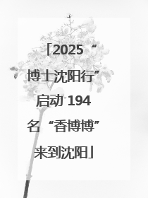 2025“博士沈阳行”启动 194名“香博博”来到沈阳