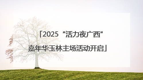 2025“活力夜广西”嘉年华玉林主场活动开启