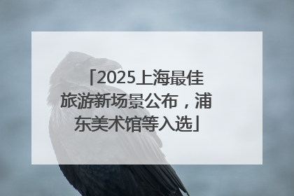 2025上海最佳旅游新场景公布，浦东美术馆等入选