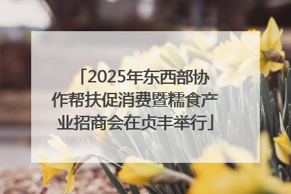 2025年东西部协作帮扶促消费暨糯食产业招商会在贞丰举行