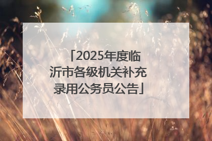 2025年度临沂市各级机关补充录用公务员公告