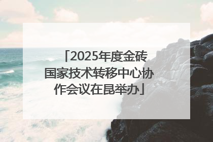 2025年度金砖国家技术转移中心协作会议在昆举办