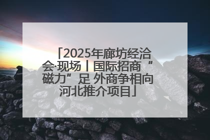 2025年廊坊经洽会·现场丨国际招商“磁力”足 外商争相向河北推介项目