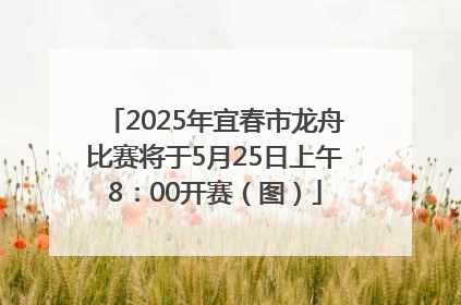 2025年宜春市龙舟比赛将于5月25日上午8：00开赛（图）
