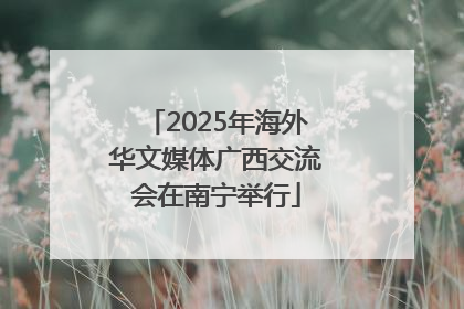 2025年海外华文媒体广西交流会在南宁举行