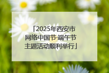 2025年西安市网络中国节·端午节主题活动顺利举行