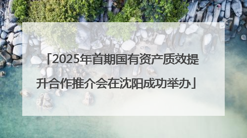 2025年首期国有资产质效提升合作推介会在沈阳成功举办