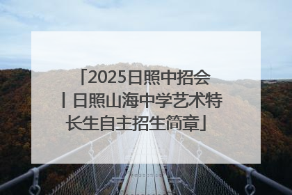 2025日照中招会丨日照山海中学艺术特长生自主招生简章