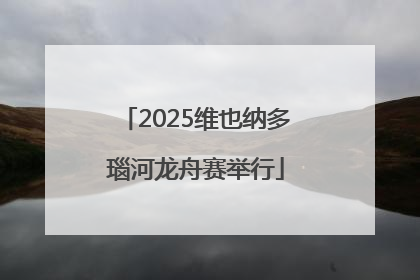 2025维也纳多瑙河龙舟赛举行