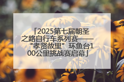 2025第七届朝圣之路自行车系列赛——“孝贤故里”环鱼台100公里挑战赛启幕