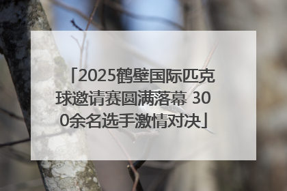 2025鹤壁国际匹克球邀请赛圆满落幕 300余名选手激情对决
