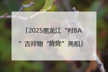 2025黑龙江“村BA”吉祥物“隆隆”亮相