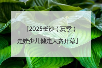 2025长沙（夏季）走娃少儿健走大赛开幕