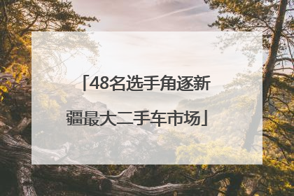 48名选手角逐新疆最大二手车市场