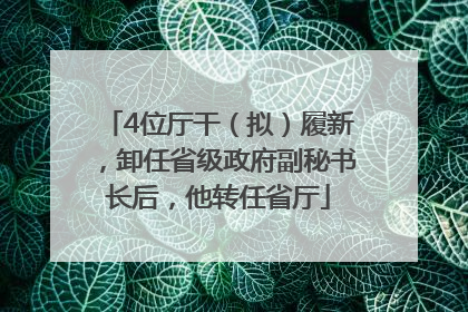 4位厅干（拟）履新，卸任省级政府副秘书长后，他转任省厅