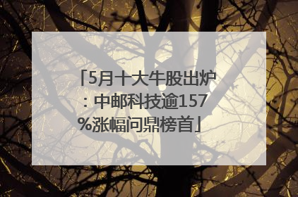 5月十大牛股出炉：中邮科技逾157%涨幅问鼎榜首