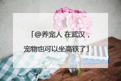 @养宠人 在武汉，宠物也可以坐高铁了