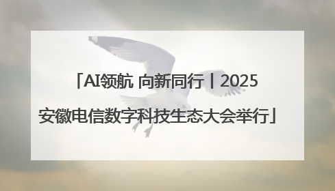 AI领航 向新同行丨2025安徽电信数字科技生态大会举行