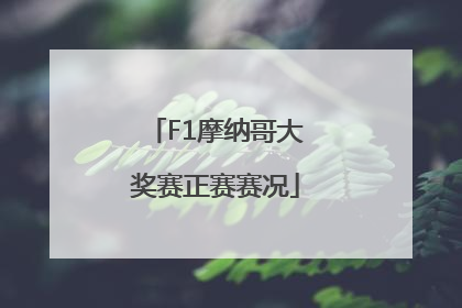 F1摩纳哥大奖赛正赛赛况