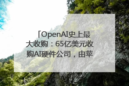 OpenAI史上最大收购：65亿美元收购AI硬件公司，由苹果前设计总监创办