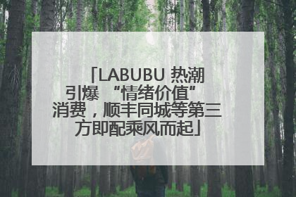 LABUBU 热潮引爆 “情绪价值” 消费，顺丰同城等第三方即配乘风而起