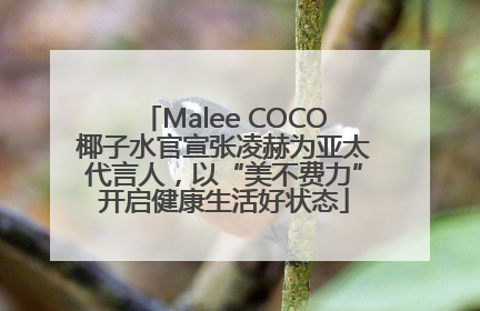 Malee COCO椰子水官宣张凌赫为亚太代言人，以“美不费力”开启健康生活好状态
