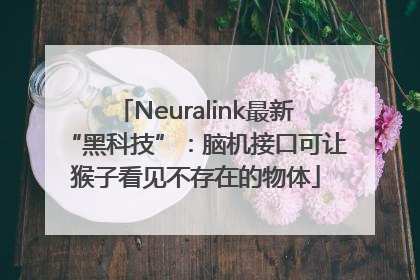 Neuralink最新“黑科技”：脑机接口可让猴子看见不存在的物体